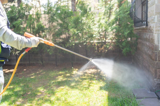 Best Ant Control  in Eustis, FL